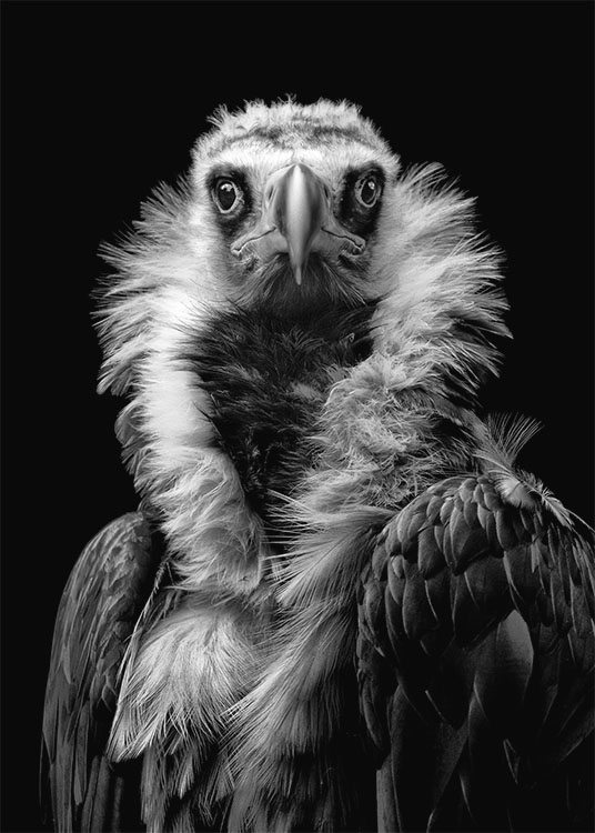 His Eminence Plagát