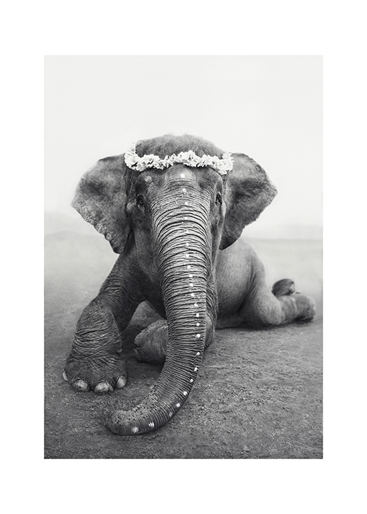 Love Warriors Sweetest Adele Plagát