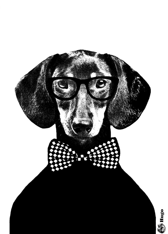 Lisa Bengtsson Hugo, Plagát