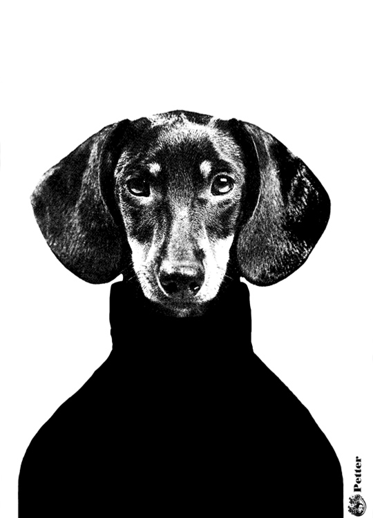 Lisa Bengtsson Petter, Plagát