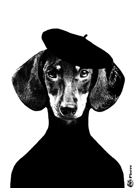 Lisa Bengtsson Pierre, Plagát