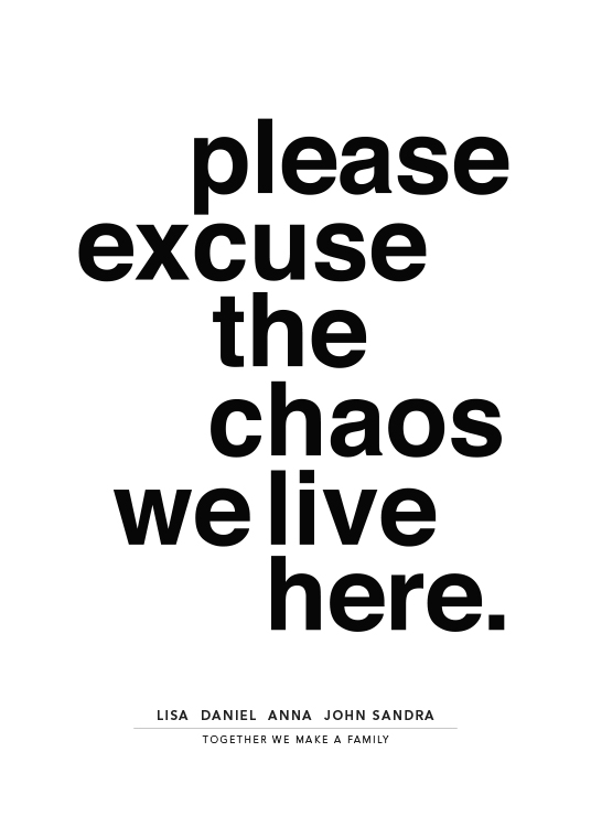 Please Excuse the Chaos Personal Plagát
