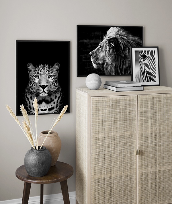 Černobílé, zvířecí tisky inspirované safari