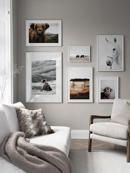 Obrazmi so zvieratami